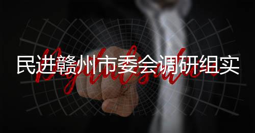 项目调研赣州赣州研组民进市委实地会调餐厨